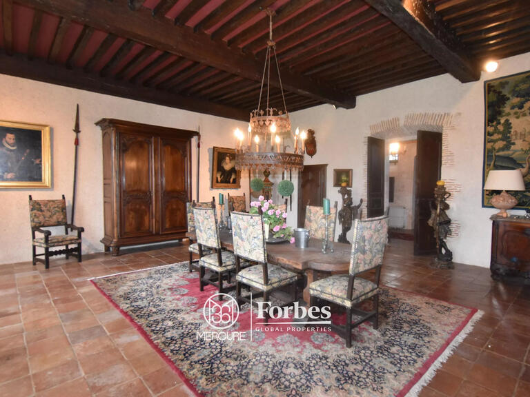 Castle Roquecor - 4 bedrooms - 3955m²