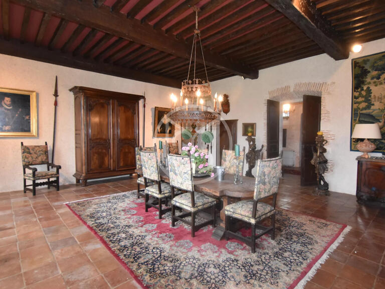 Castle Roquecor - 4 bedrooms - 3955m²