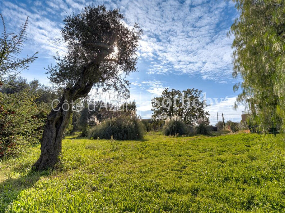 Terrain Roquefort-les-Pins