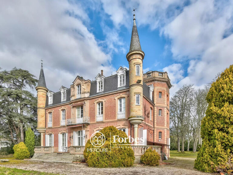 Castle Rouffiac-Tolosan - 6 bedrooms - 501m²