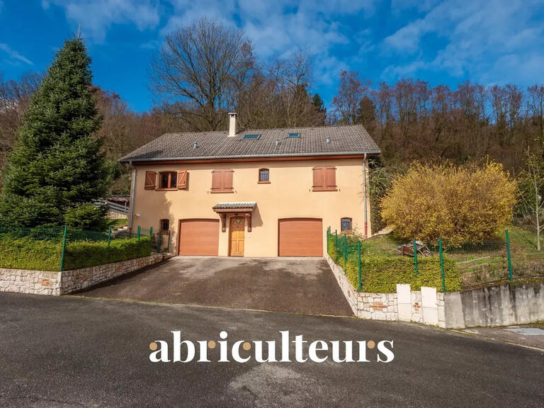 Vente Maison Rumilly - 5 chambres