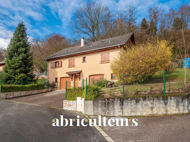 Sale House Rumilly - 5 bedrooms