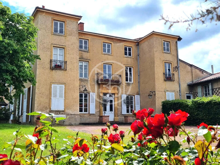 Château Saint-Alban-les-Eaux - 12 chambres - 630m²