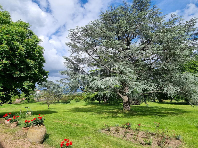 Château Saint-Alban-les-Eaux - 12 chambres - 630m²