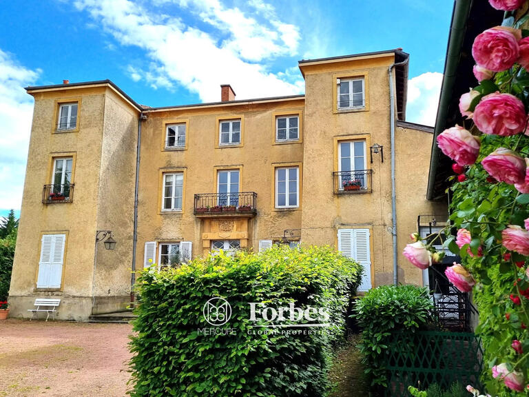 Château Saint-Alban-les-Eaux - 12 chambres - 630m²