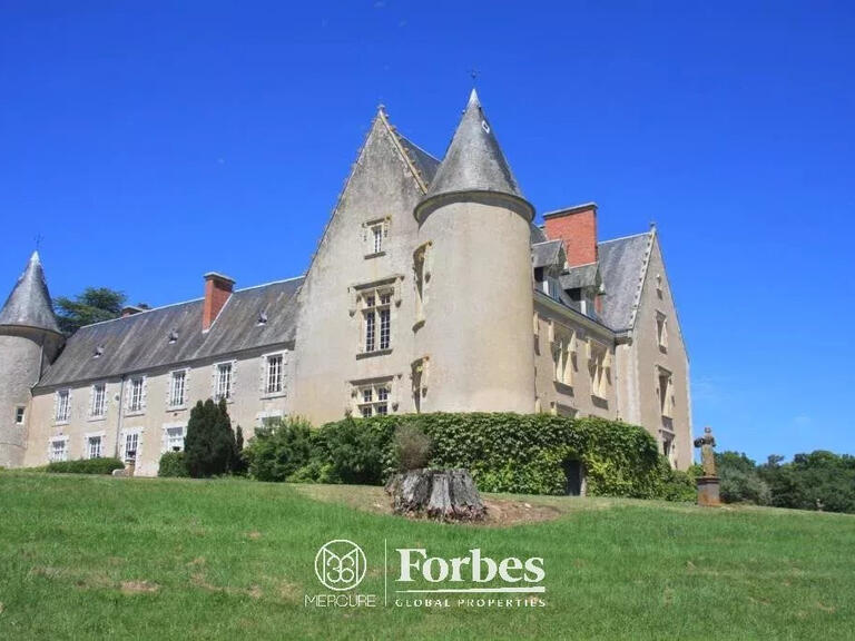 Château Saint-Amand-Montrond - 15 chambres - 680m²