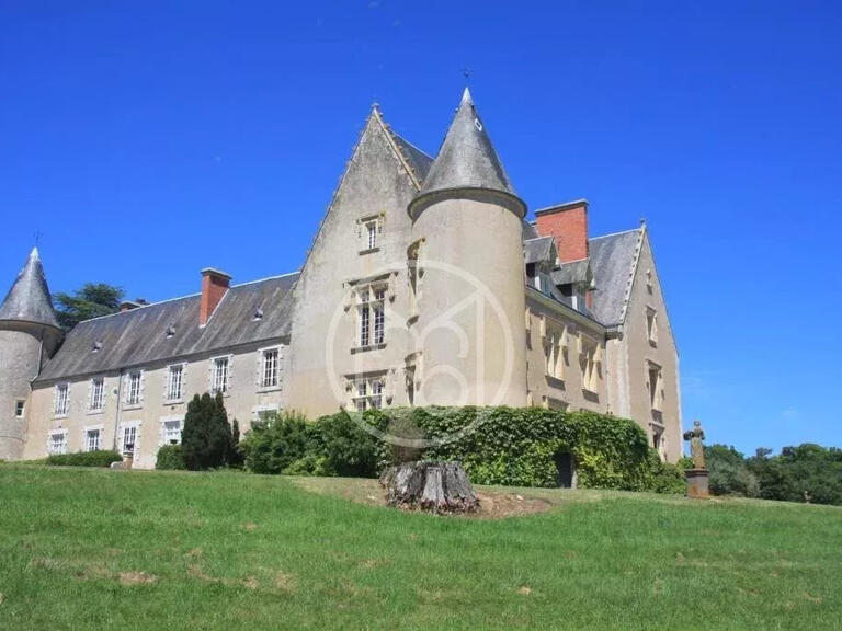 Castle Saint-Amand-Montrond - 15 bedrooms - 680m²