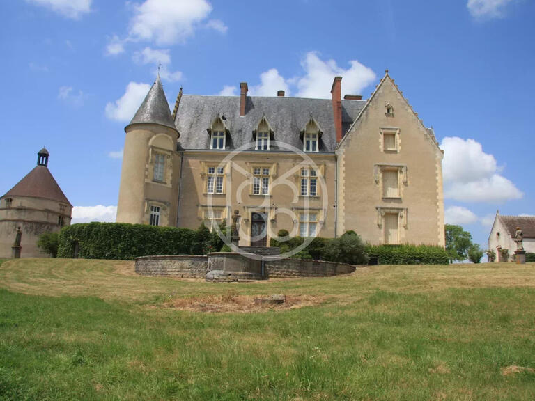 Castle Saint-Amand-Montrond - 15 bedrooms - 680m²