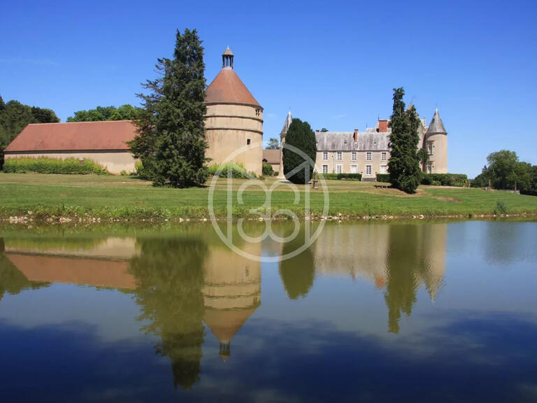 Castle Saint-Amand-Montrond - 15 bedrooms - 680m²