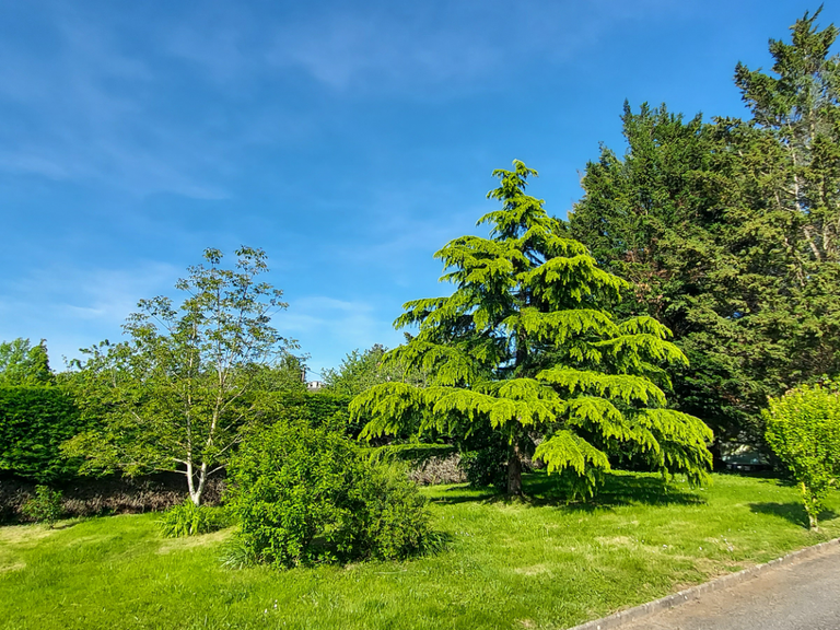 Vente Maison Saint-Amour - 4 chambres