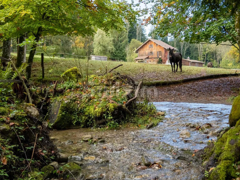 Propriété équestre Saint-André-de-Boëge - 3 chambres - 142m²