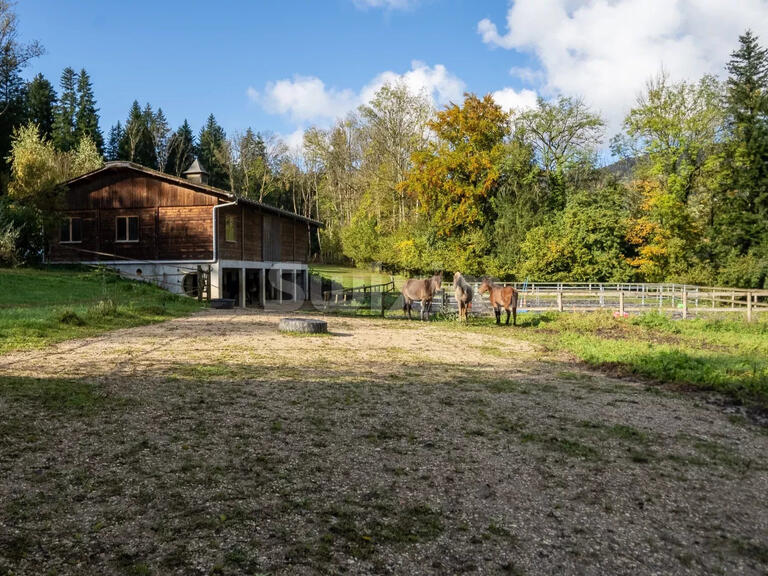 Propriété équestre Saint-André-de-Boëge - 3 chambres - 142m²