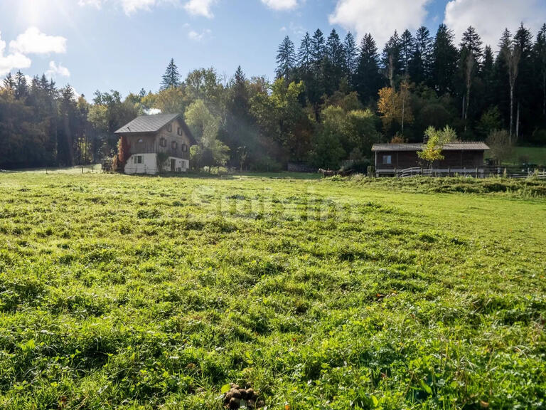 Propriété équestre Saint-André-de-Boëge - 3 chambres - 142m²