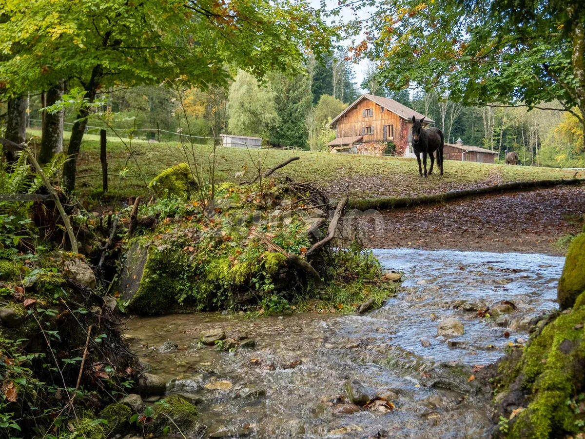 Equestrian property Saint-André-de-Boëge