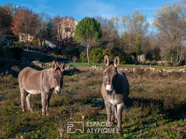 House Saint-André-de-Cruzières - 5 bedrooms - 270m²