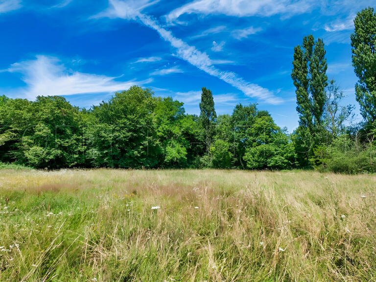 Villa Saint-André-de-Cubzac - 1300m²