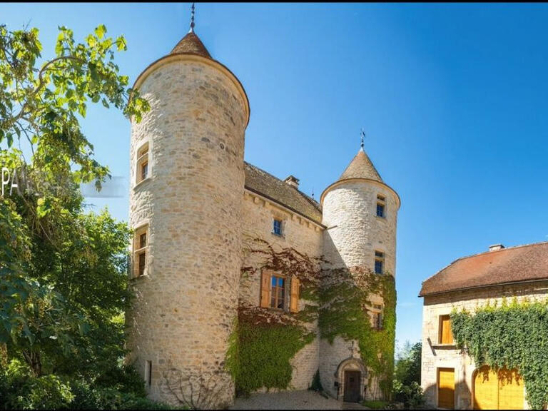 Château Saint-Antonin-Noble-Val - 8 chambres - 650m²