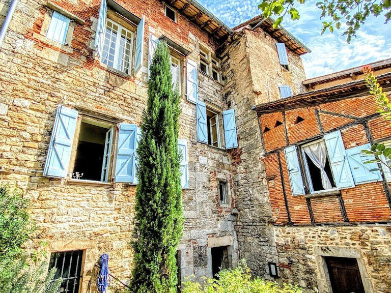 Maison Saint-Antonin-Noble-Val - 10 chambres - 580m²