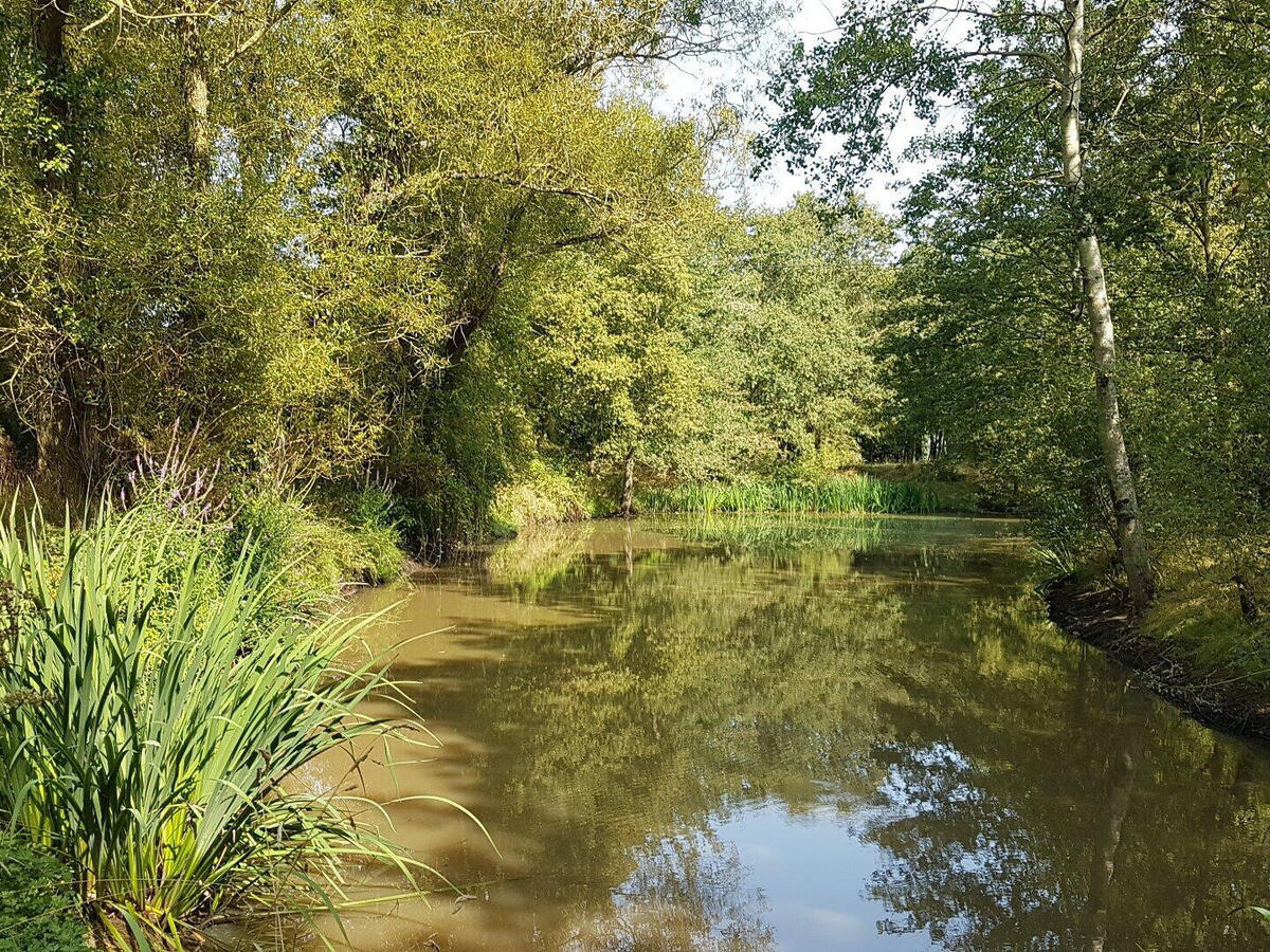 Propriété Saint-Denis-d'Anjou