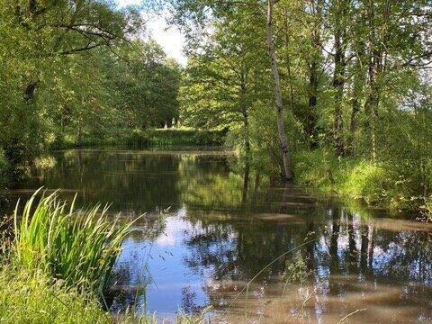 Propriété Saint-Denis-d'Anjou