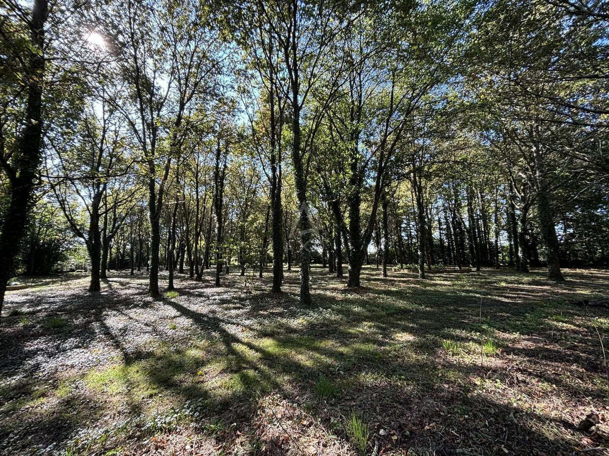 Propriété Saint-Denis-d'Anjou