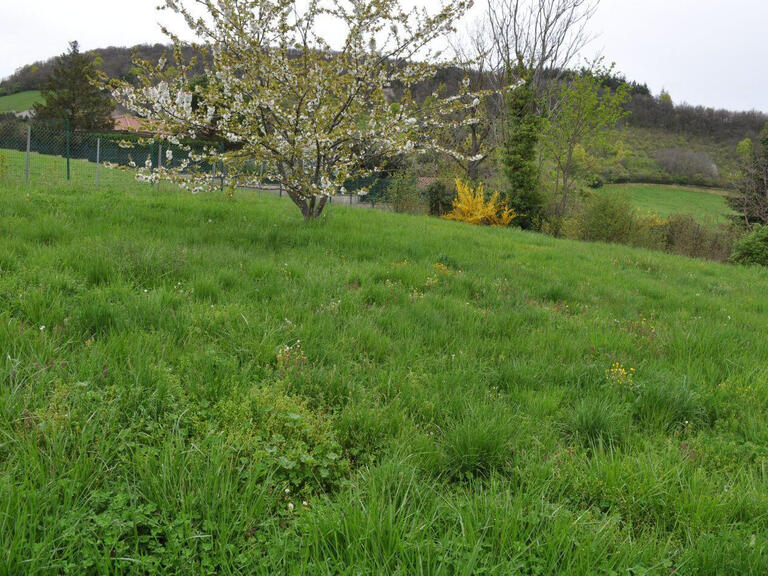 Terrain Saint-Didier-au-Mont-d'Or