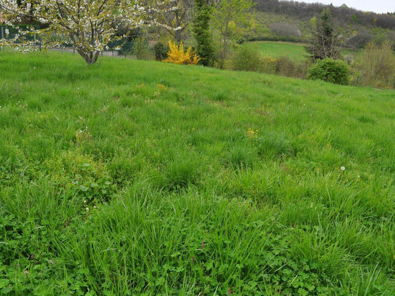 Land Saint-Didier-au-Mont-d'Or