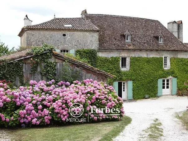 House Saint-Émilion - 6 bedrooms - 581m²