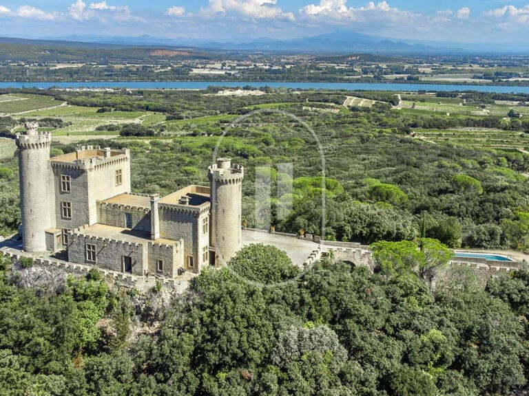 Château Saint-Étienne-des-Sorts - 7 chambres - 385m²