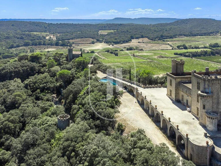 Château Saint-Étienne-des-Sorts - 7 chambres - 385m²