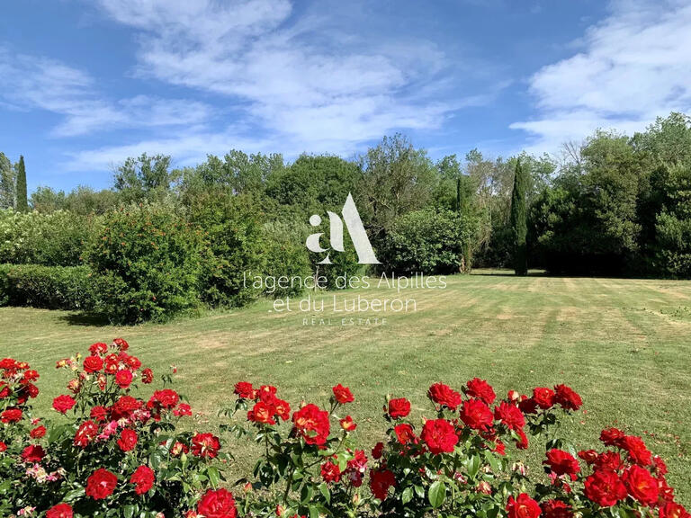 House Saint-Étienne-du-Grès - 7 bedrooms - 400m²