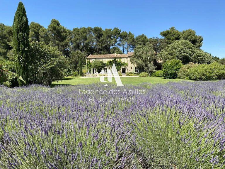 House Saint-Étienne-du-Grès - 6 bedrooms - 40000m²