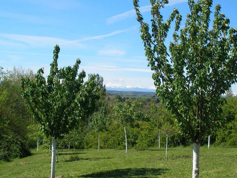 Vente Bien atypique Saint-Félix-Lauragais - 12 chambres