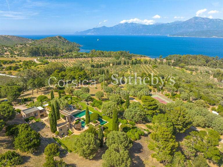 Holidays House Saint-Florent - 8 bedrooms