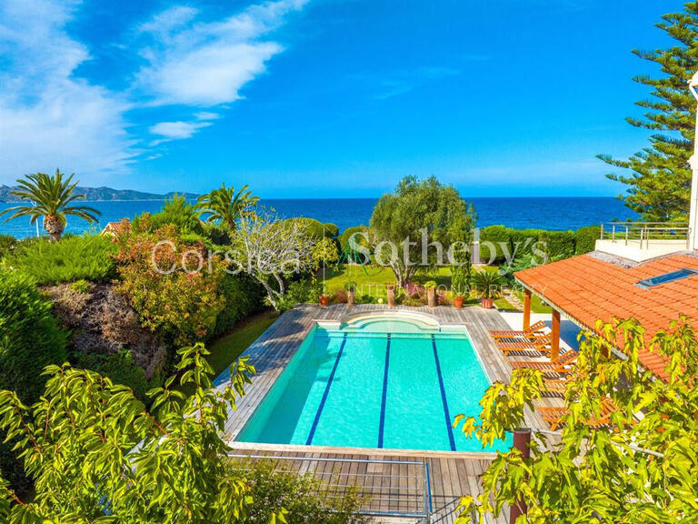 House Saint-Florent - 9 bedrooms - 400m²