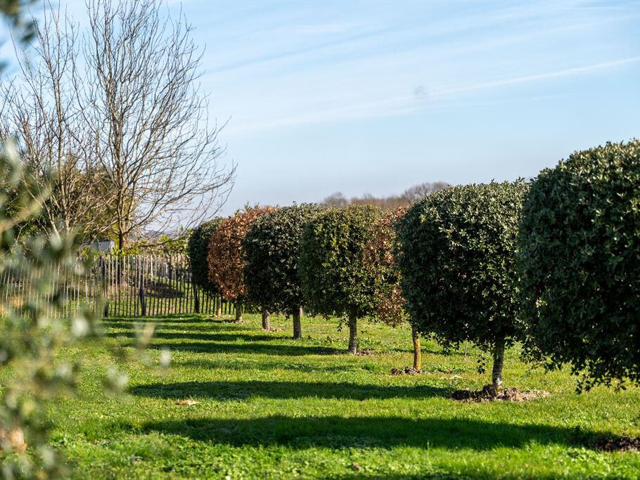 Maison Saint-Fort-sur-Gironde