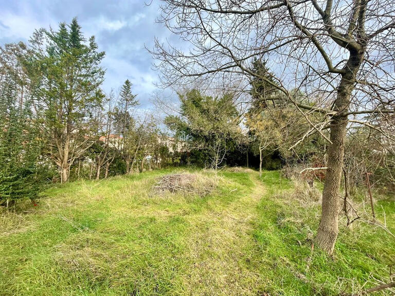 Terrain Saint-Gély-du-Fesc - 1958m²