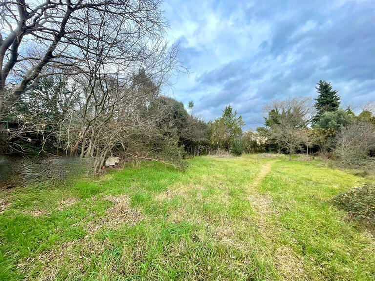 Terrain Saint-Gély-du-Fesc - 1958m²