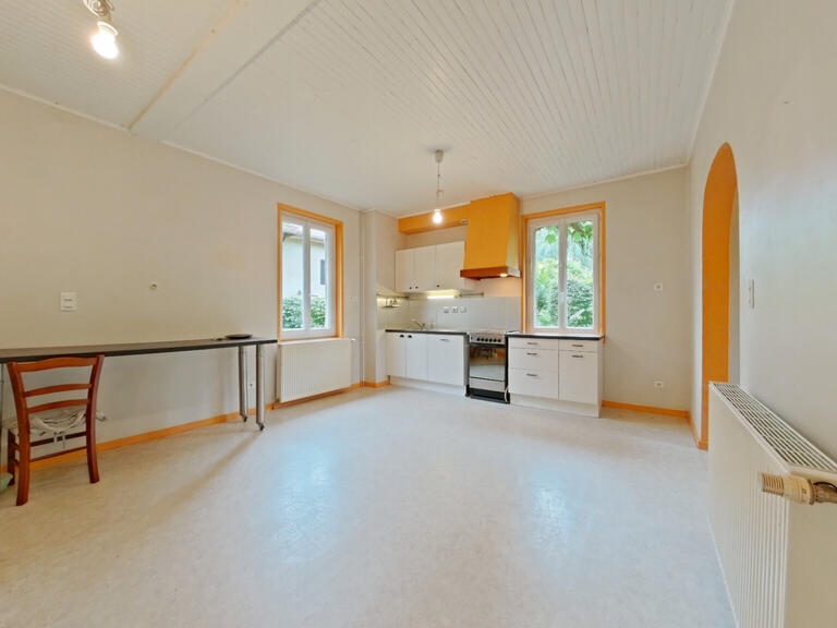 Maison Saint-Geoire-en-Valdaine - 8 chambres - 420m²