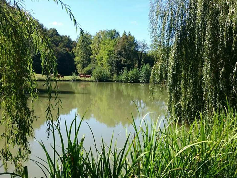 Château Saint-Girons - 15 chambres - 760m²