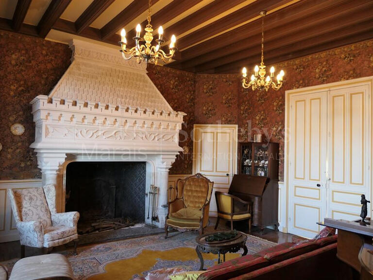 Vente Château Saint-Hilaire-sur-Benaize - 7 chambres