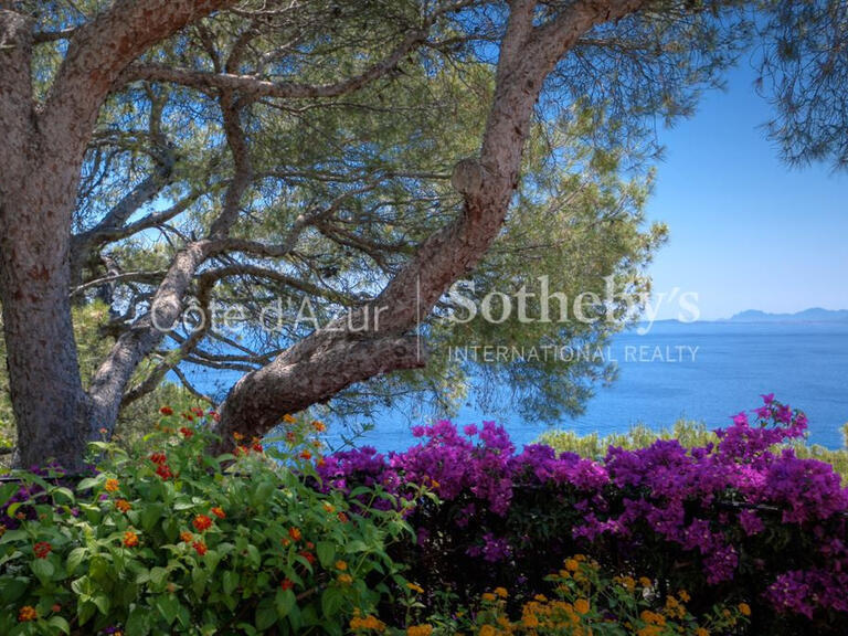 Sale House Saint-Jean-Cap-Ferrat - 8 bedrooms