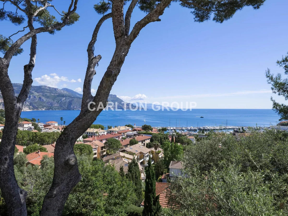 Property Saint-Jean-Cap-Ferrat