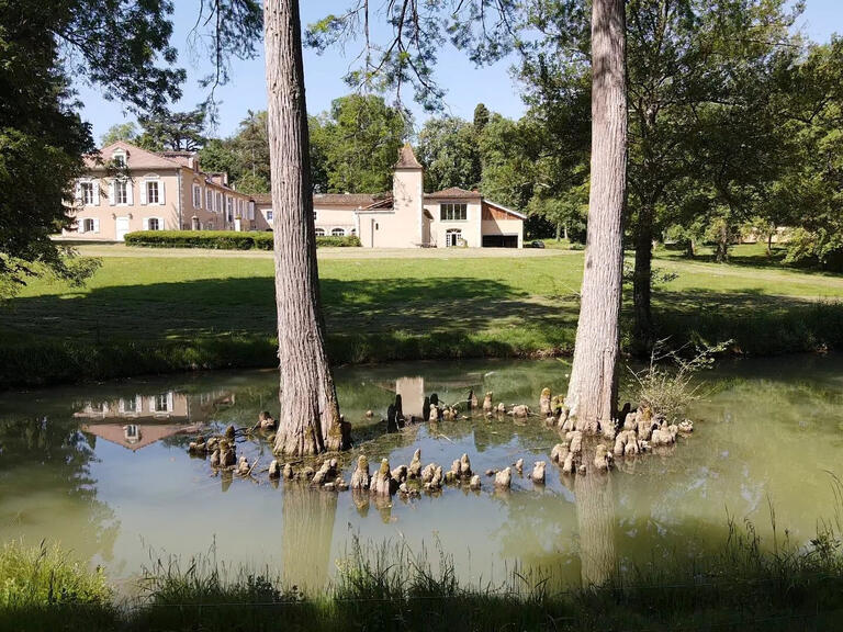 Castle Saint-Jean-le-Comtal - 9 bedrooms - 1200m²