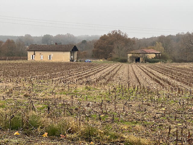 Vente Propriété Saint-Justin