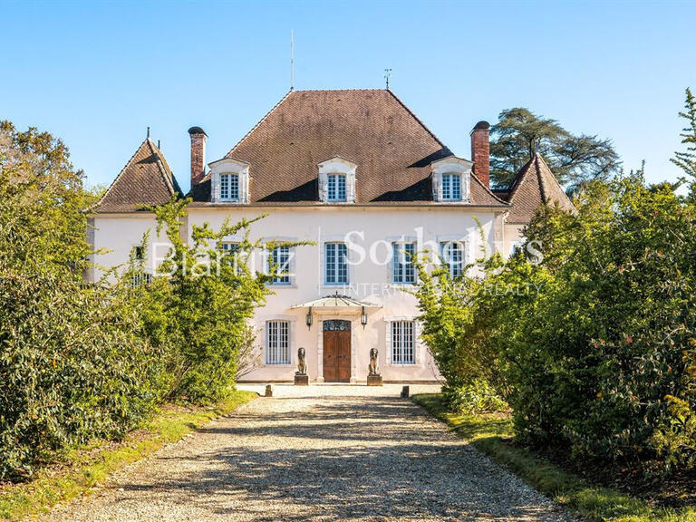 Castle Saint-Laurent-de-Gosse - 7 bedrooms - 824m²