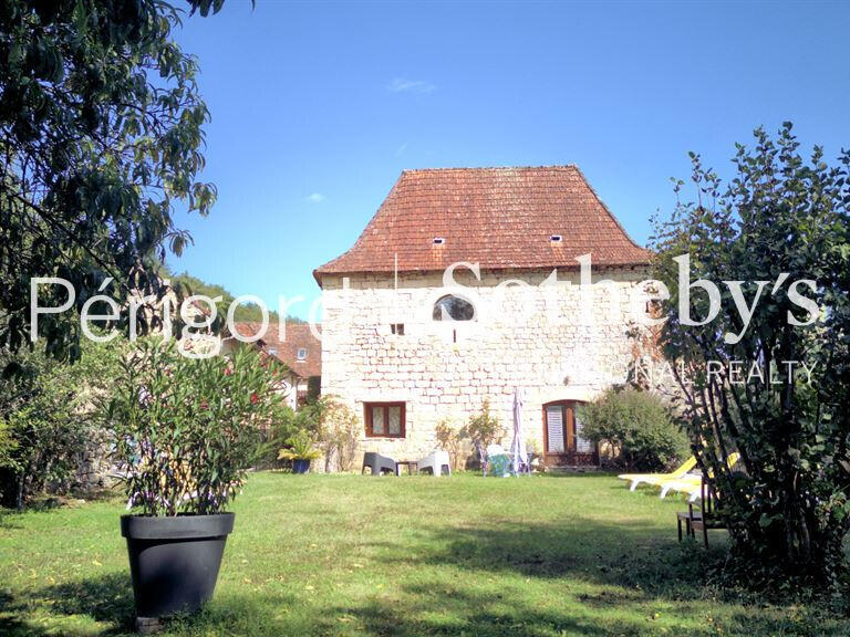 House Saint-Léon-sur-Vézère - 8 bedrooms - 500m²