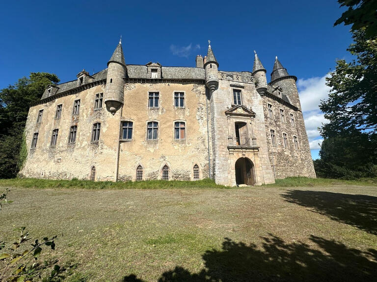 Castle Saint-Léons - 22 bedrooms - 1911m²