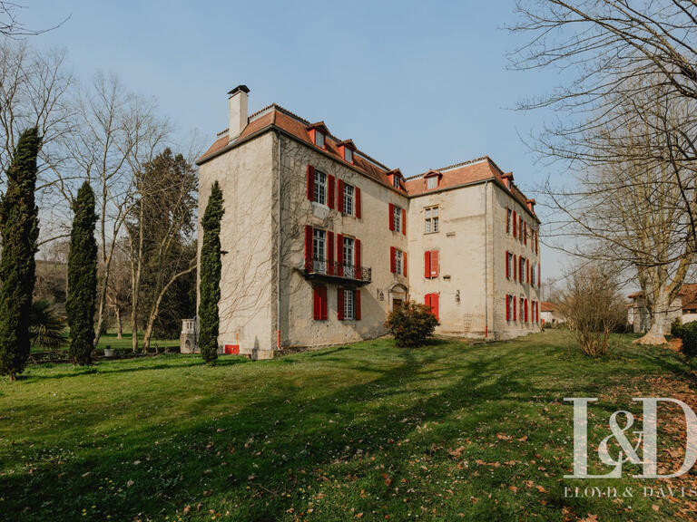 Castle Saint-Palais - 800m²