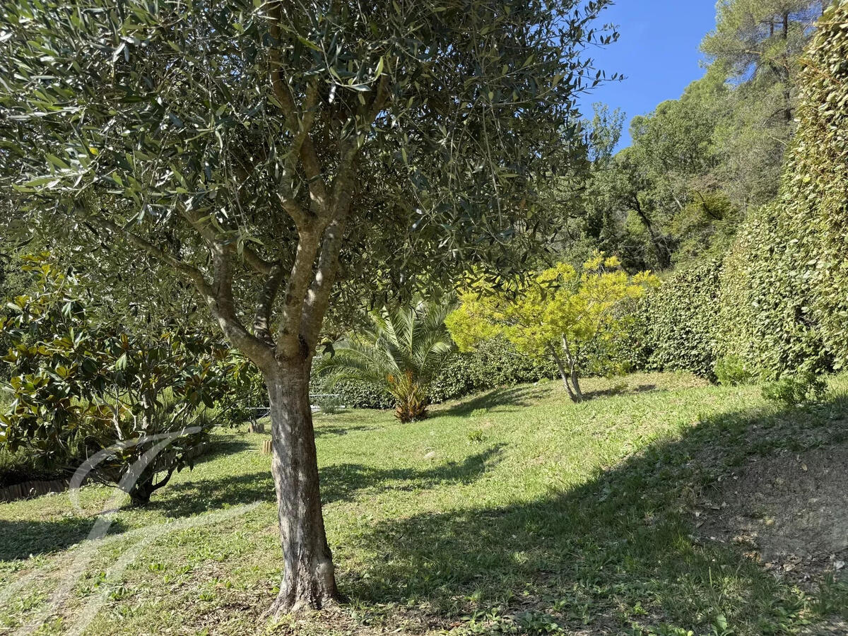 House Saint-Paul-de-Vence